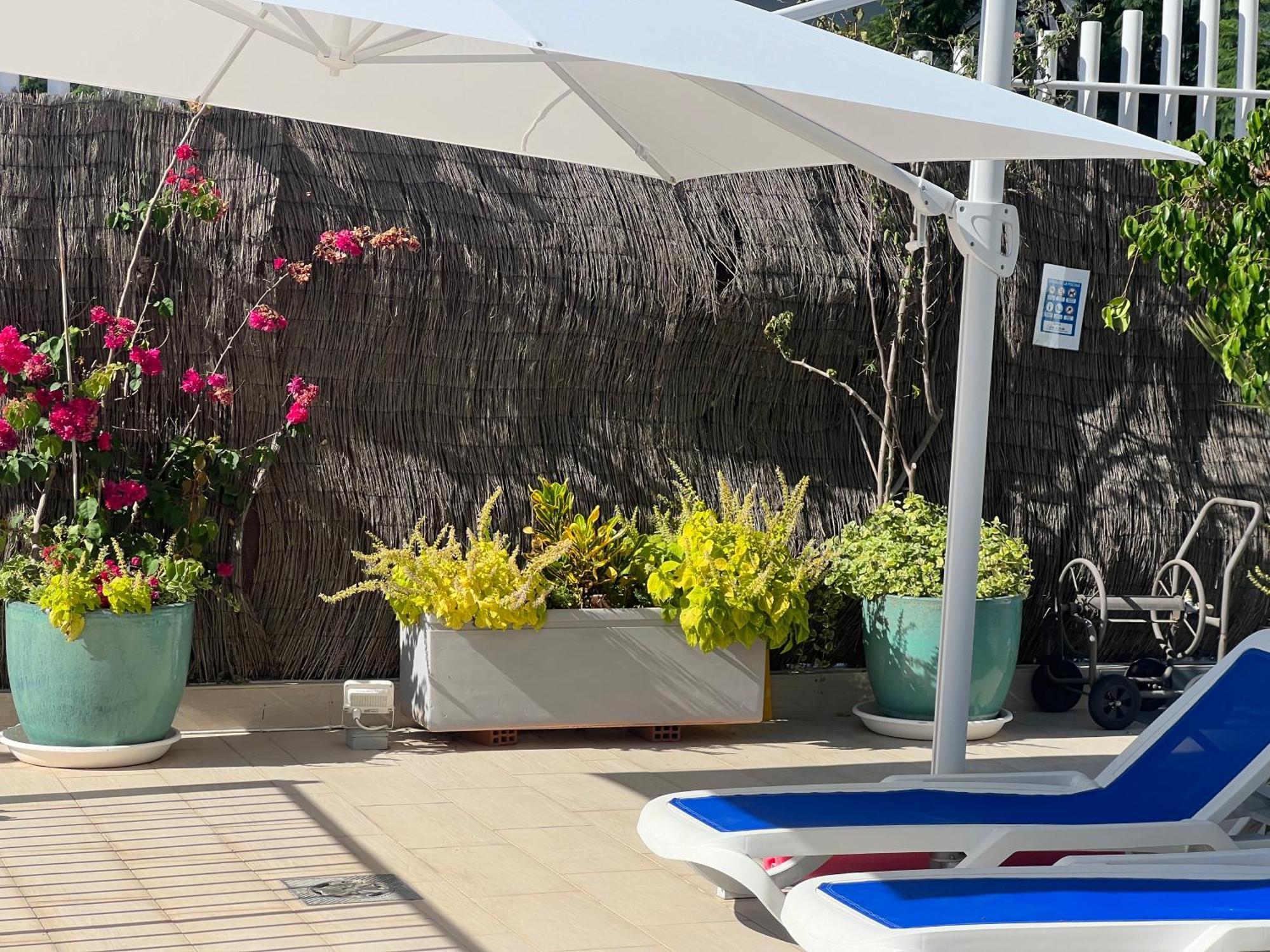 Ancla Real Apartamentos Loft エル・プエルト・デ・サンタ・マリア エクステリア 写真