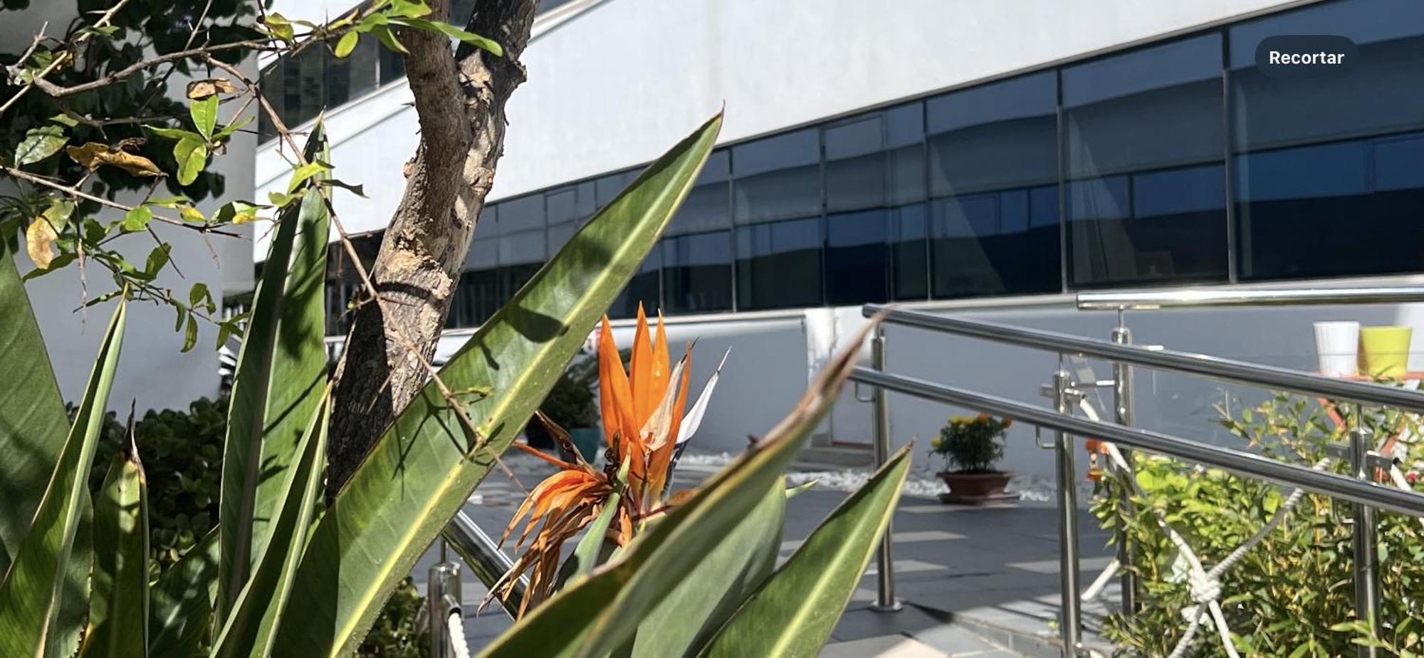 Ancla Real Apartamentos Loft エル・プエルト・デ・サンタ・マリア エクステリア 写真